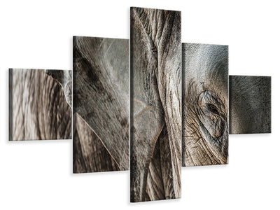 5-piece-canvas-print-close-up-elephant