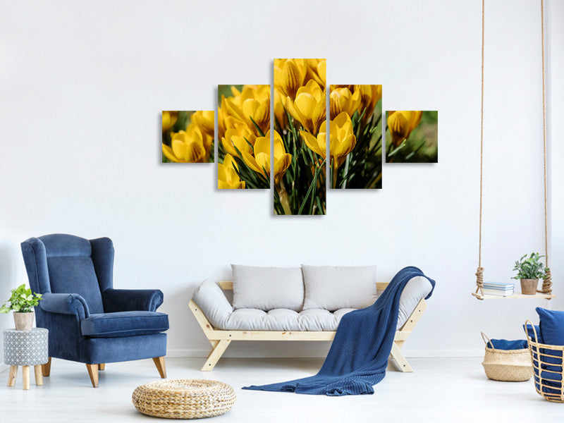 5-piece-canvas-print-crocuses-in-spring