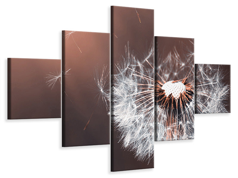 5-piece-canvas-print-dandelion-in-the-evening-light