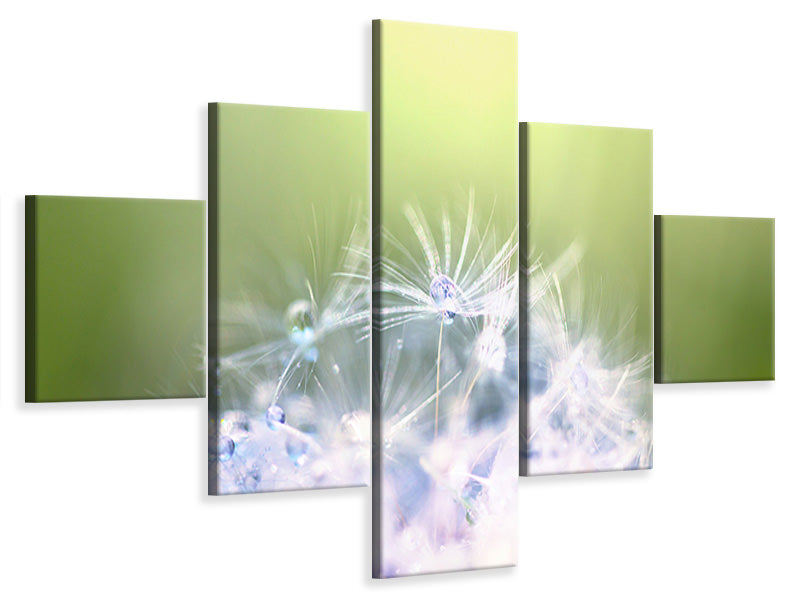 5-piece-canvas-print-dandelion-xl-in-morning-dew