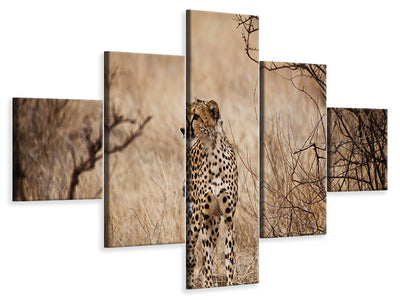 5-piece-canvas-print-elegant-cheetah