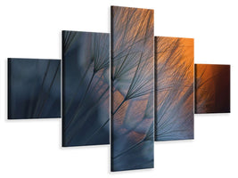 5-piece-canvas-print-feathers-p