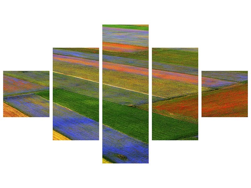 5-piece-canvas-print-la-coperta