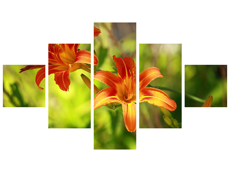 5-piece-canvas-print-lilies-in-nature