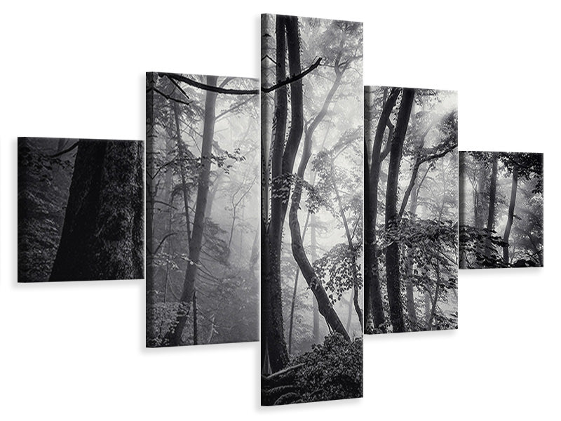 5-piece-canvas-print-mysterious-light