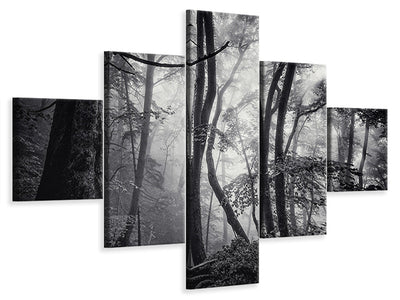 5-piece-canvas-print-mysterious-light
