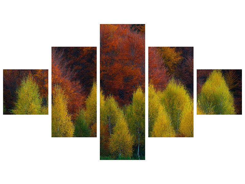 5-piece-canvas-print-nimbrethil