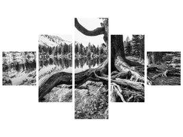 5-piece-canvas-print-old-tree