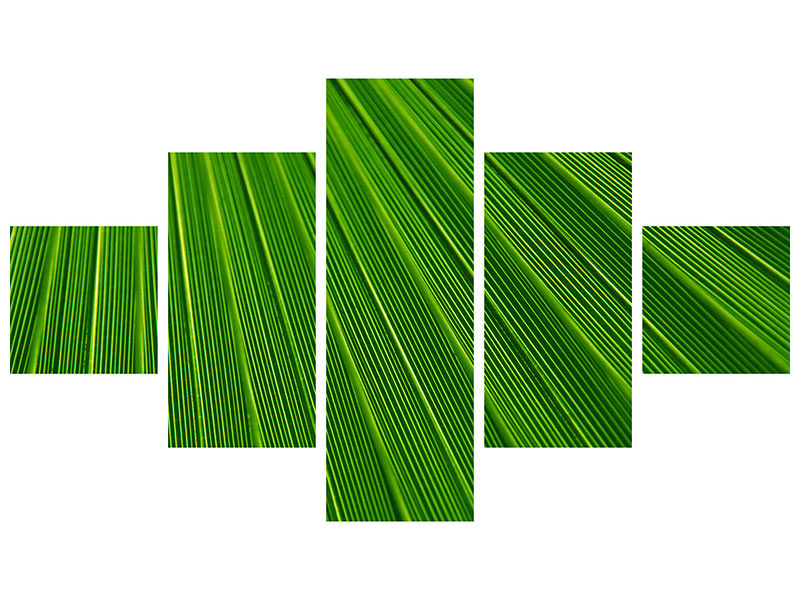 5-piece-canvas-print-palm-stripe-i