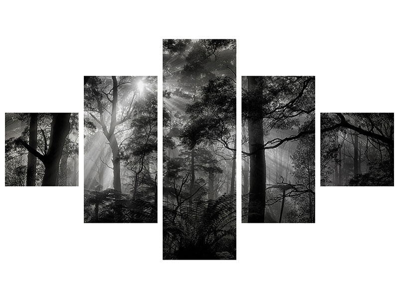 5-piece-canvas-print-primary-forest