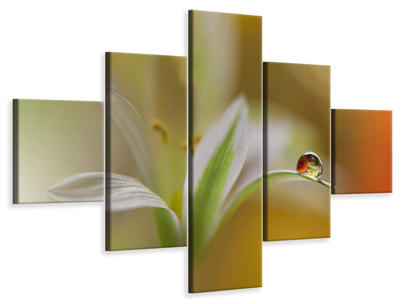 5-piece-canvas-print-sound-of-colors