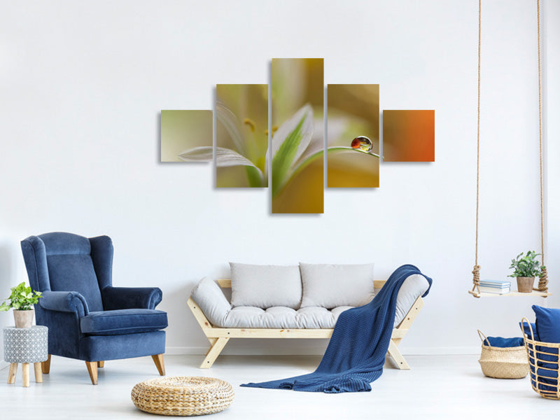 5-piece-canvas-print-sound-of-colors