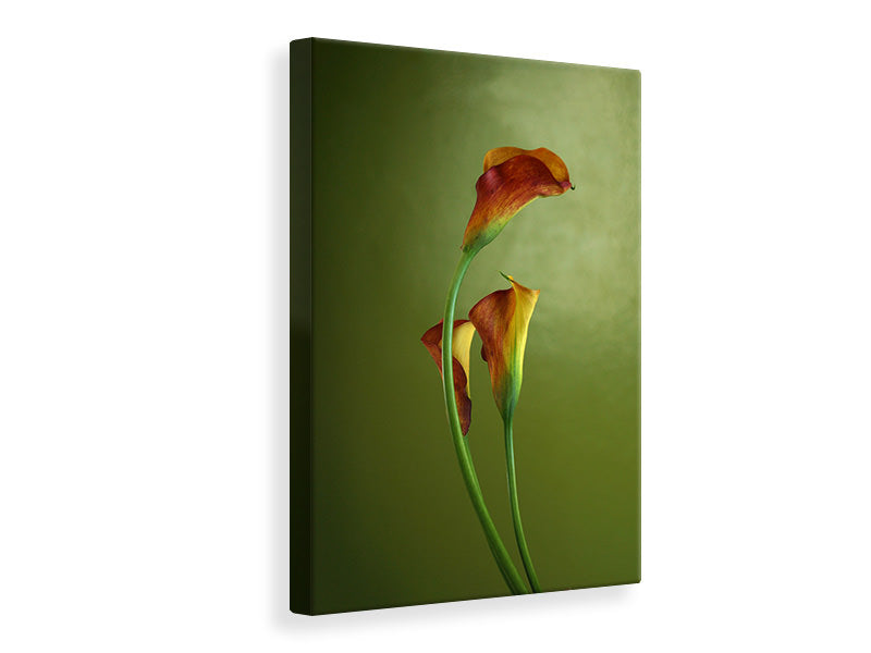 canvas-print-3-callas