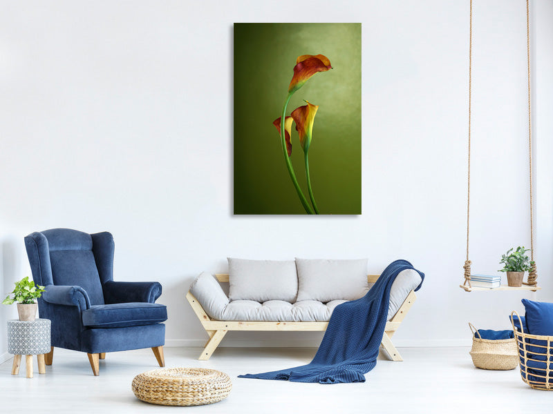 canvas-print-3-callas