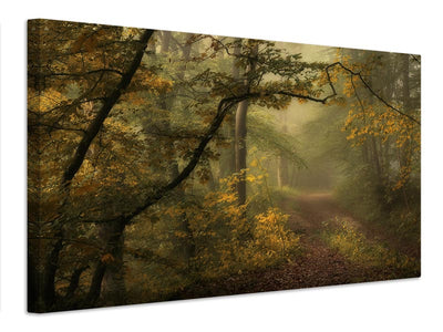 canvas-print-pinewood