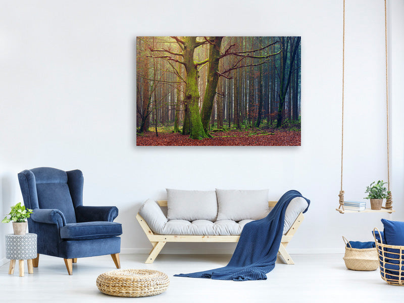 canvas-print-alone-in-the-woods