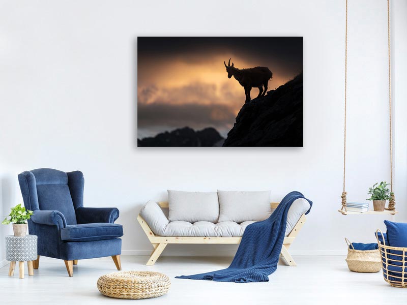 canvas-print-alpine-ibex-x