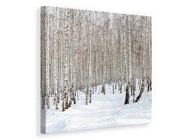 canvas-print-birch-forest-tracks-in-snow