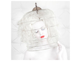canvas-print-birdcage-love