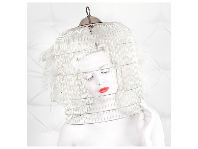 canvas-print-birdcage-love