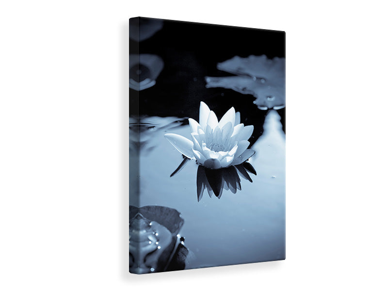 canvas-print-black-and-white-photograph-waterlily