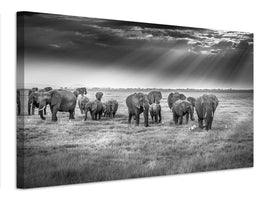 canvas-print-breakfast-with-pachyderms-x