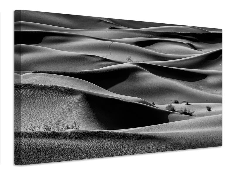 canvas-print-bush-ii-x