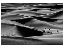 canvas-print-bush-ii-x