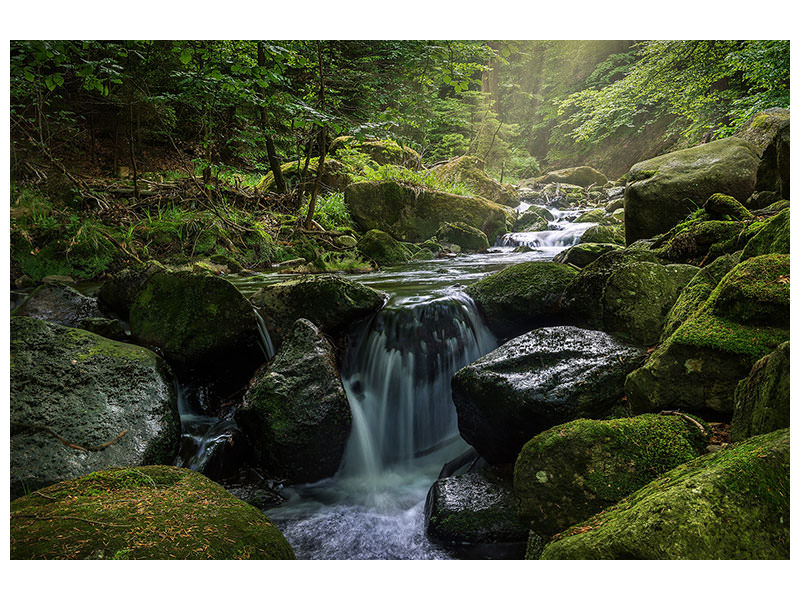 canvas-print-calming-view