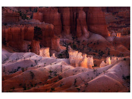 canvas-print-canyon-light-x