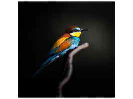 canvas-print-colorful-darkly-x