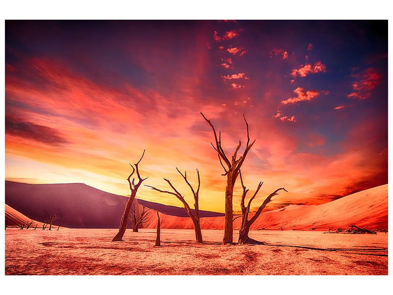 canvas-print-colorful-desert