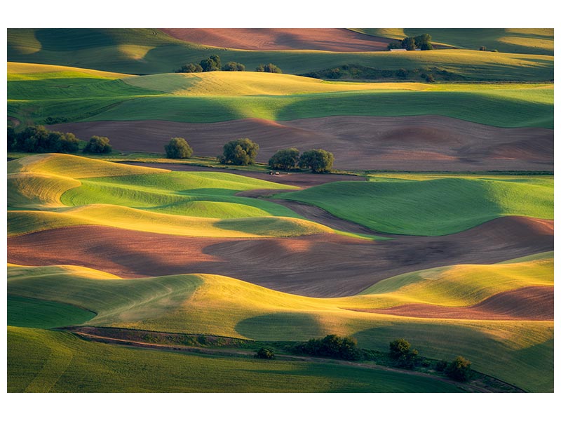 canvas-print-colorful-palouse-x