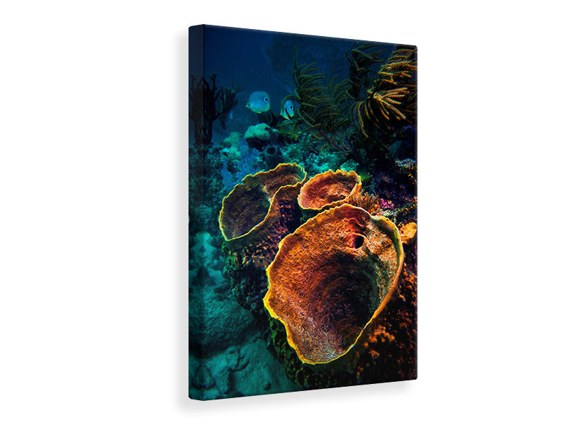 canvas-print-coral-vulcanos