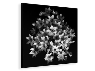 canvas-print-early-sensation