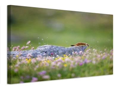 canvas-print-pinewood
