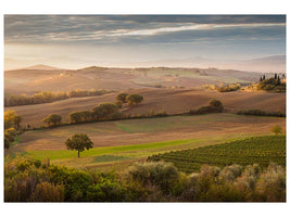 canvas-print-fairyland-at-dawn-x