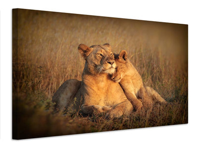 canvas-print-feline-family-x