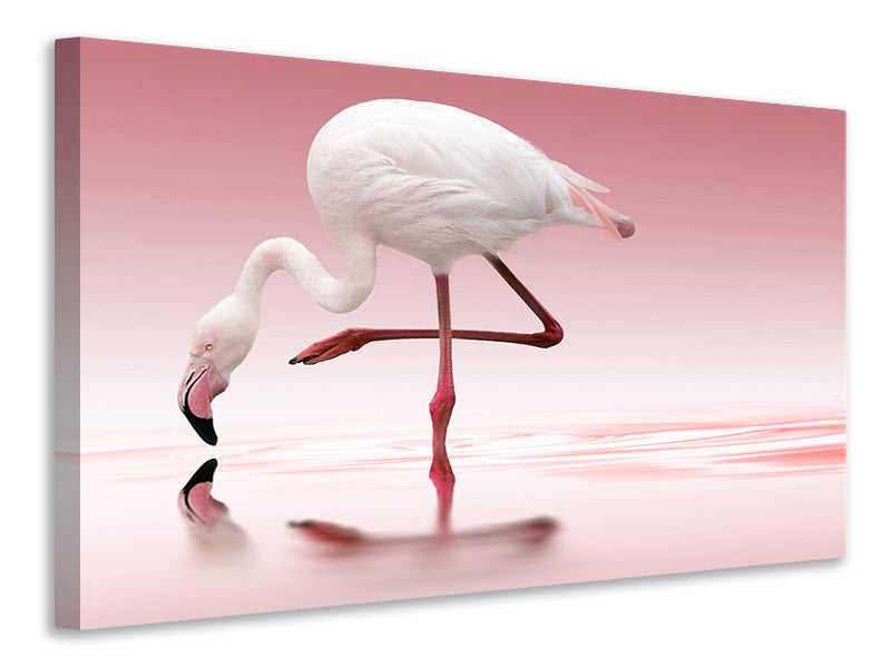 canvas-print-flamingo