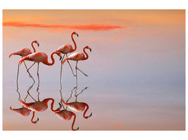 canvas-print-flamingos-family-x