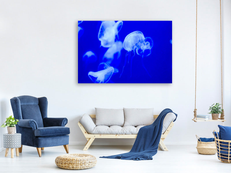 canvas-print-floating-jellyfish