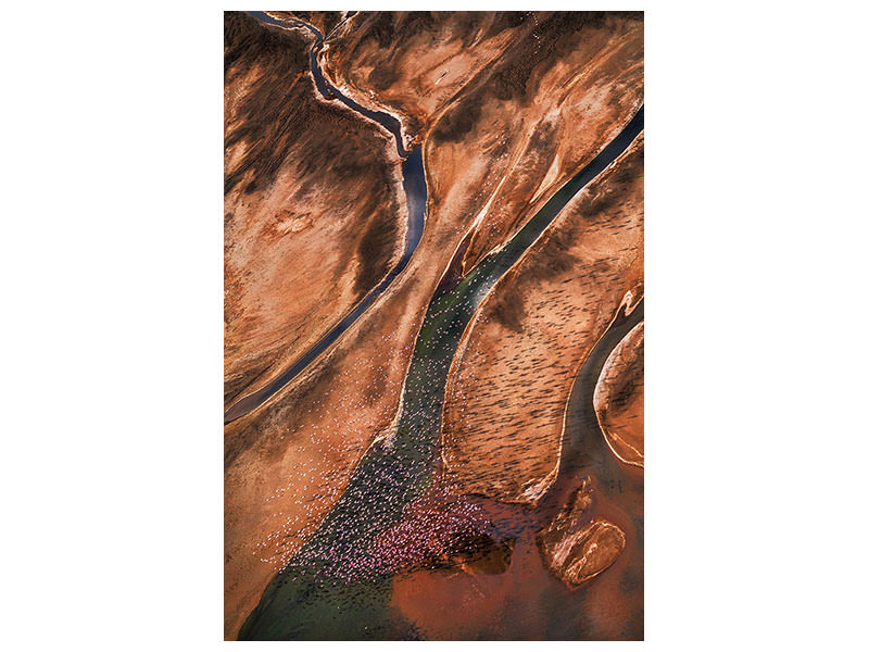 canvas-print-flying-over-palette