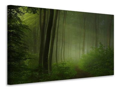 canvas-print-forest-morning