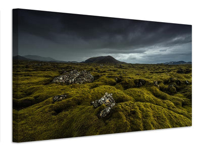 canvas-print-pinewood