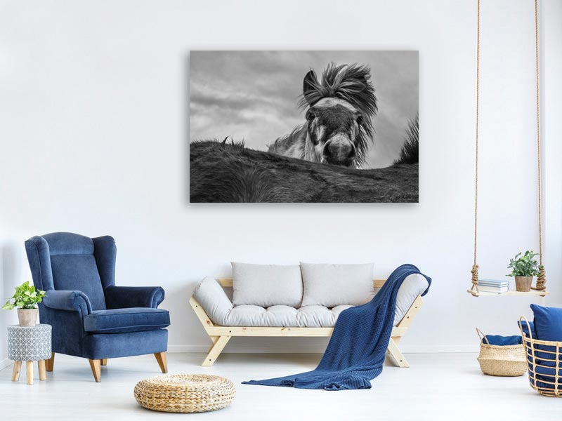 canvas-print-hi-xgd