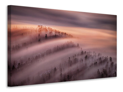 canvas-print-pinewood
