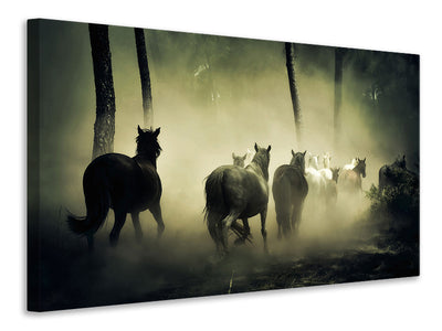 canvas-print-pinewood