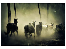 canvas-print-horses-in-the-forest