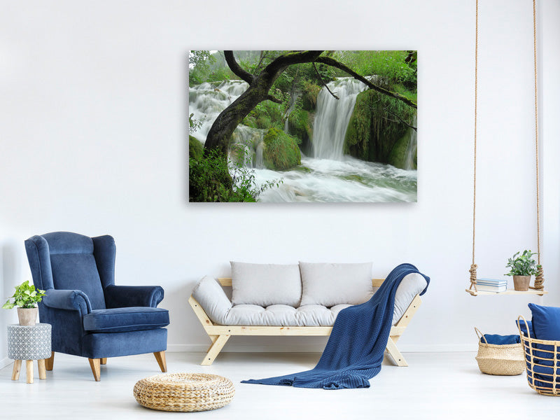 canvas-print-in-the-national-park