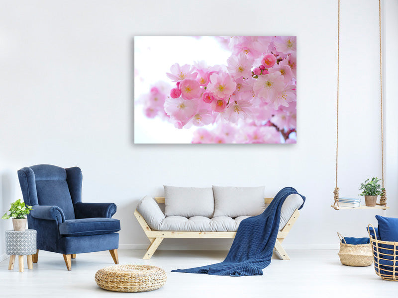 canvas-print-japanese-cherry-blossom-xl